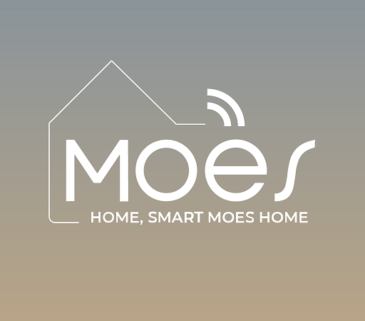 Moes Smart Home Devices